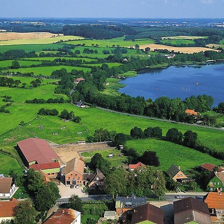 Ponyhof Naeve Am Wittensee Gross Wittensee Zewnętrze zdjęcie