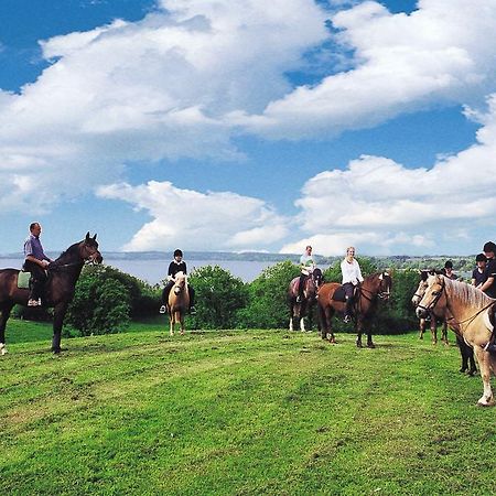 Ponyhof Naeve Am Wittensee Gross Wittensee Zewnętrze zdjęcie