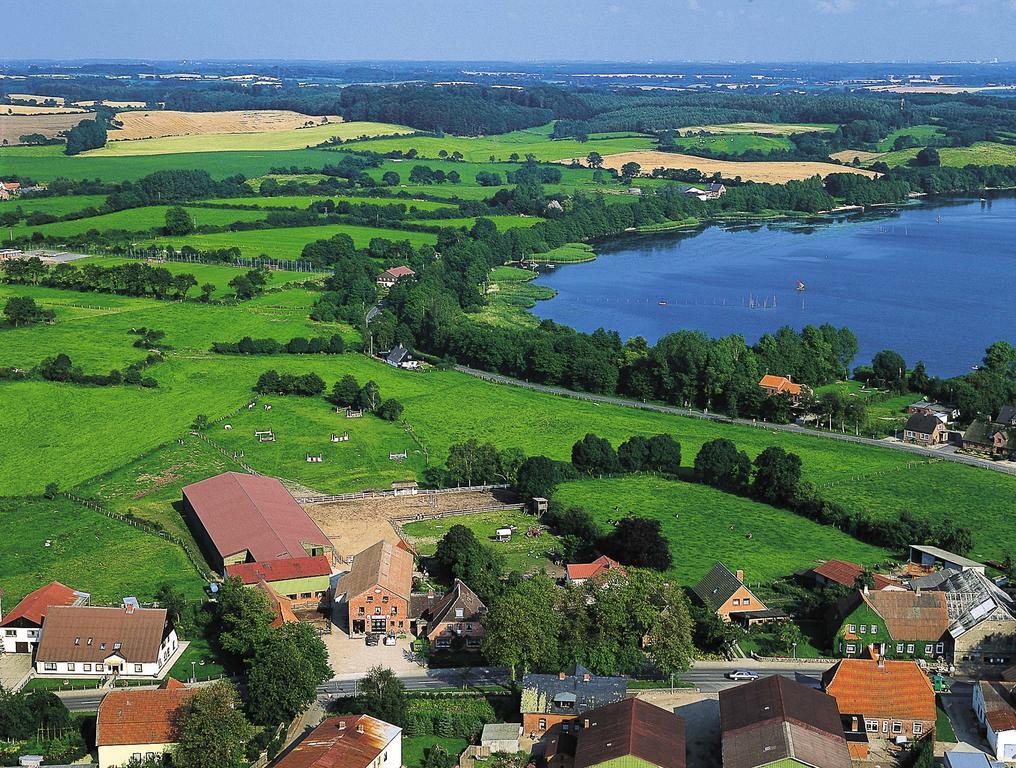 Ponyhof Naeve Am Wittensee Gross Wittensee Zewnętrze zdjęcie