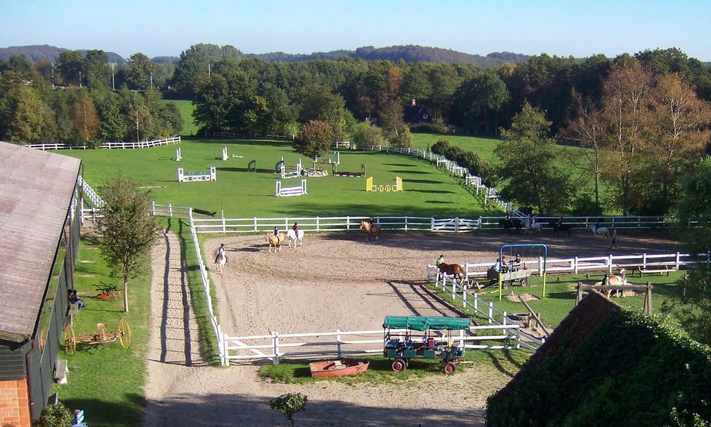 Ponyhof Naeve Am Wittensee Gross Wittensee Zewnętrze zdjęcie