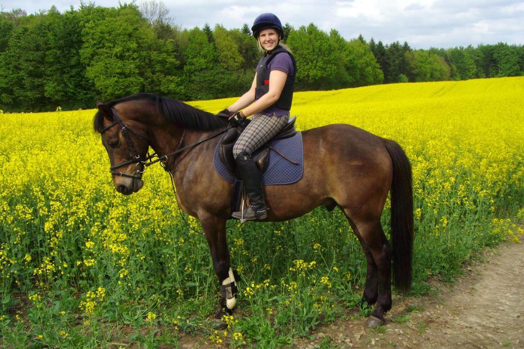 Ponyhof Naeve Am Wittensee Gross Wittensee Zewnętrze zdjęcie